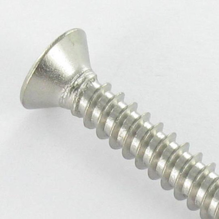 1 x Blechschraube Sichere Senkkopfschraube SNAKE EYES 4,2 x 16 Edelstahl A2
