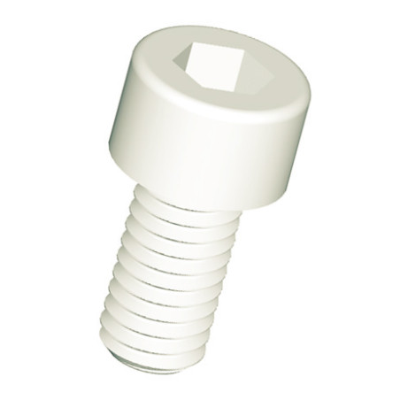 1 x Metallschrauben Innensechskantschraube Schraubenschlüssel 3 M4x6 natürlich nylon