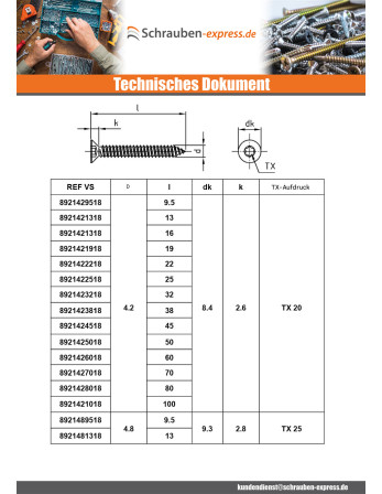 1 x Blechschraube Senkkopfschraube 2,9 x 13 T10...