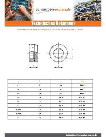 1 x Sechskantiger männlicher Hohlschraubstopfen...