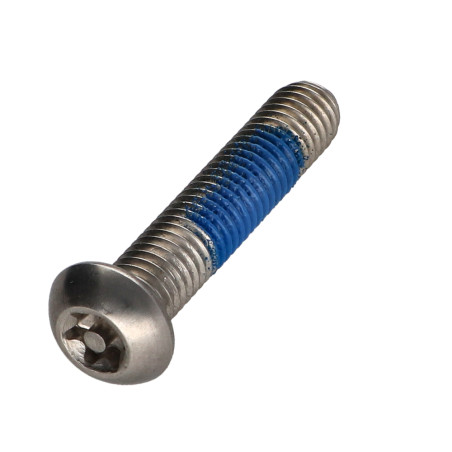 1 x Metallschrauben Edelstahl A2 Sichere Flachkopf T40 mit Zapfen M8X40 Schraubensicherung