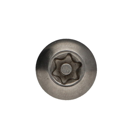 1 x Metallschrauben Edelstahl A2 Sichere Flachkopf T40 mit Zapfen M8X40 Schraubensicherung