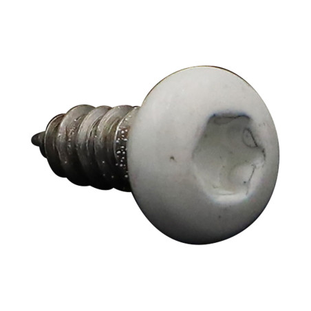 1 x Blechschraube breitem gewölbtem kopf 4,2 x 13 Edelstahl A2 T20 RAL9010 reinweiß