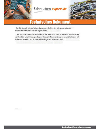 1 x Metallschrauben Zylindrischer Flachkopf T25...