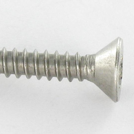 1 x Blechschraube Sichere Edelstahl A2 Senkkopfschraube T25 mit Zapfen 4,8 x 19