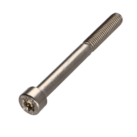 1 x Metallschrauben Zylindrischer Flachkopf T30 Edelstahl A2 M6X60 Mit Gewinde 24