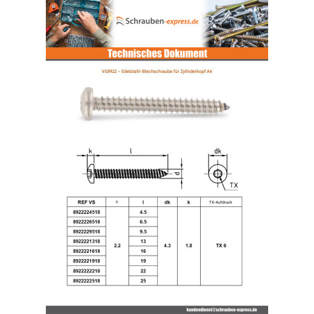 1 x Blechschraube Zylindrischer Halbrundkopf 4,2 x 60 T20 Edelstahl A4