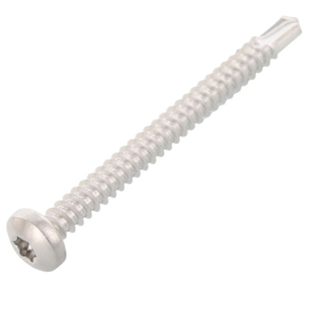 1 x Selbstbohrende Schrauben Zylindrischer Flachkopf 5,5 x 25 T25 Edelstahl AISI 410