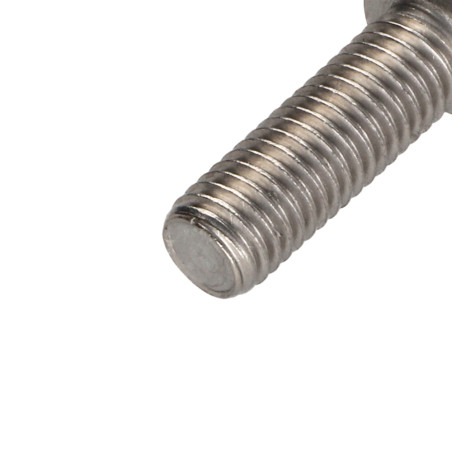 1 x Metallschrauben Zylindrischer Flachkopf T50 Edelstahl A2 M10x30 Gesamtgewinde