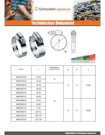 1 x Schlauchschelle perforiertes Band 13...