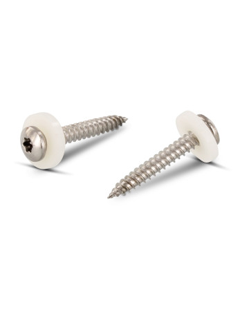 1 x Blechschraube Zylindrischer Flachkopf T15 +...