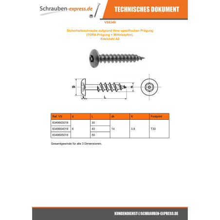 1 x Schraube Binder Sichere T30 mit Zapfen 6x40 Edelstahl A2
