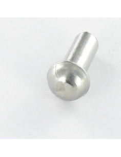Vollniet Edelstahl Rundkopf 4x10 2