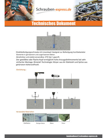 1 x Betonschraube Zylindrischer Flachkopf T40...
