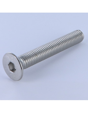 1 x Metallschrauben Innensechskant mit flachem...