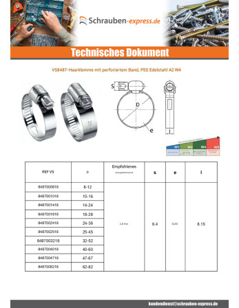 1 x Schlauchschelle perforiertes Band 13...