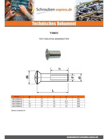 1 x Schraube FENSTER Flacher Senkkopf Gespalten...
