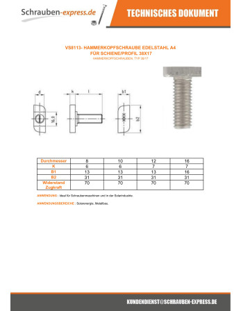 1 x Metallschrauben Hammerkopf 13x31x6 M12x60...