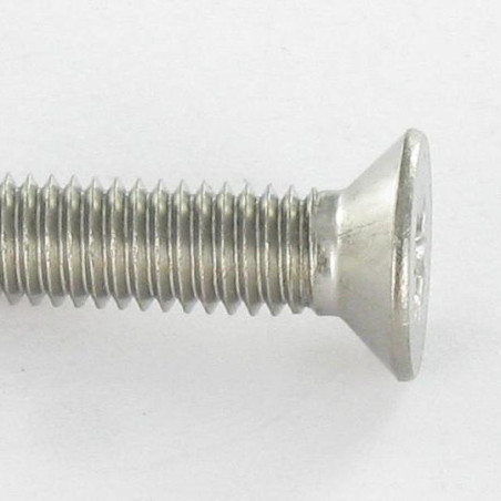 1 x Gewindefurchende Schraube Edelstahl A2 Senkkopfschraube Pozi PZ4 M6x12