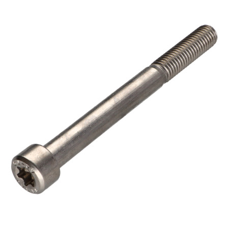 1 x Metallschrauben Zylindrischer Flachkopf T50 Edelstahl A2 M10x100 Mit Gewinde 32