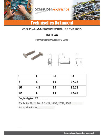 1 x Metallschrauben Hammerkopf 10 x 10 x 4,5...