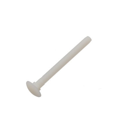 1 x Schlossschrauben M5x25 natürlich nylon