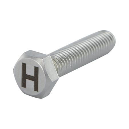 1 x Metallschrauben Sechskantkopf 8x35 Edelstahl A4 mit Buchstabengravur "H"