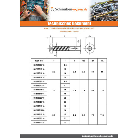 1 x Selbstbohrende Schrauben Zylindrischer Flachkopf 3,9 x 22 T15 Edelstahl AISI 410