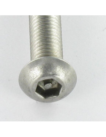 1 x Metallschrauben Sichere Flachrundschraube...