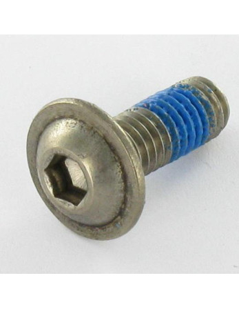 1 x Metallschrauben Flachrundschraube mit...