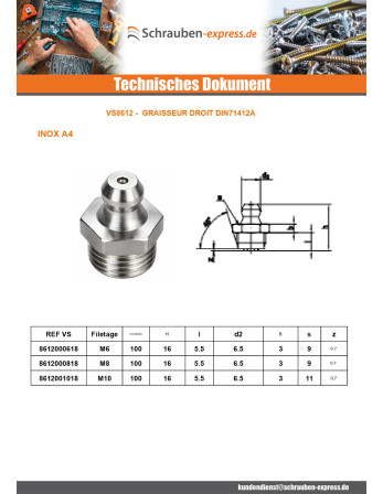 1 x Schmiernippel M6 gewinde 100 Edelstahl A4