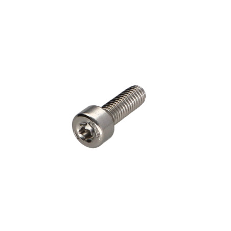 1 x Metallschrauben Zylindrischer Flachkopf T25 Edelstahl A2 M5x10 Gesamtgewinde