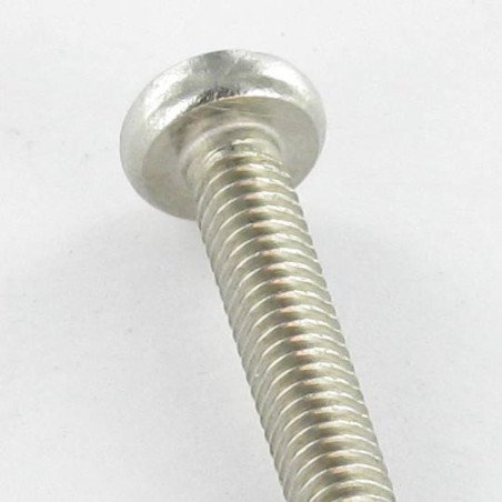 1 x Gewindefurchende Schraube Zylindrischer Halbrundkopf M4x16 Pozi PZ3 Edelstahl A2