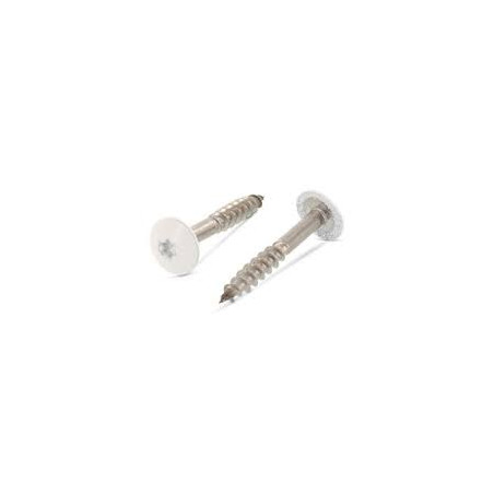 1 x Schraube für Fassade T20 4,8 x 25 Kopf-Durchmesser 12.3 Edelstahl A2 RAL9001 blanc creme