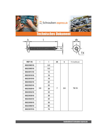 1 x Blechschraube Zylindrischer Halbrundkopf...
