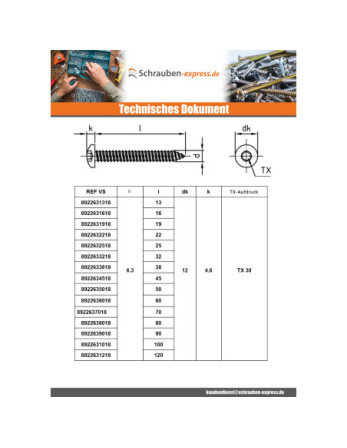 1 x Blechschraube Zylindrischer Halbrundkopf...