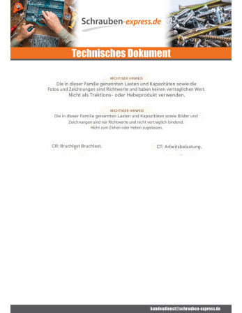 1 x Ringschraube für Auge Mit Gewinde M6X80 Mit...