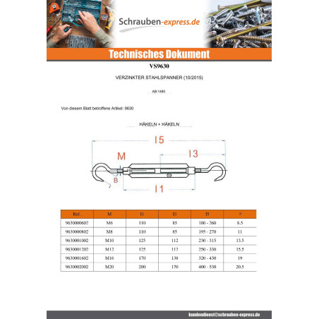 1 x Spannschraube Ring/Ring 10x125 Auge 13,5 Verzinkt