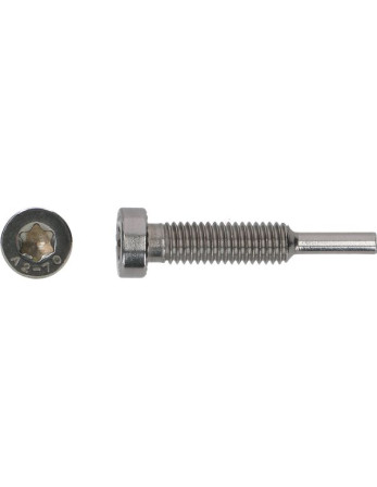 1 x Schraube Zange SOLAR M8X43 Edelstahl A2