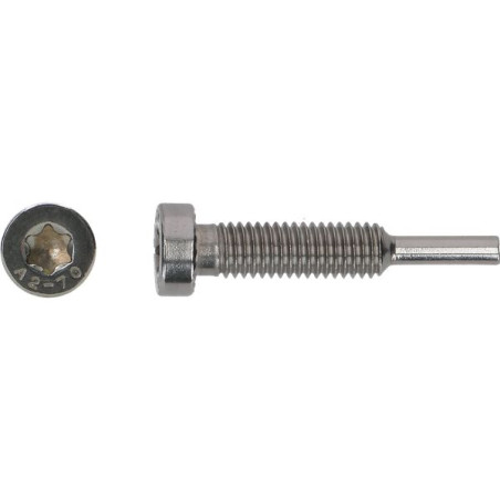 1 x Schraube Zange SOLAR M8X43 Edelstahl A2
