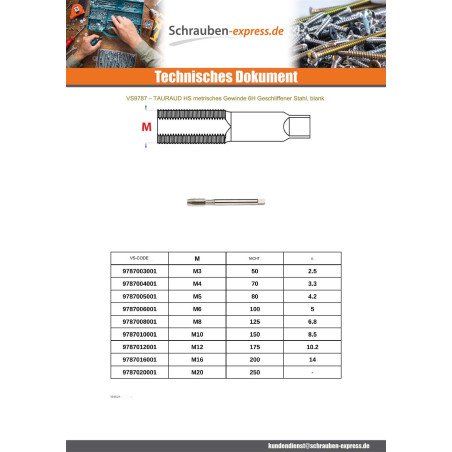 1 x HSS-Gewindebohrer M6 gewinde 100
