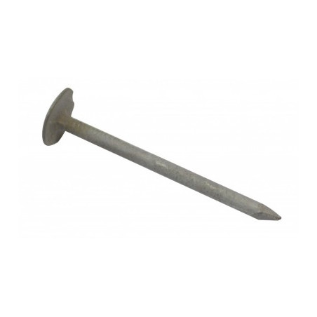 1 x Kg nagel SCHIEFER Extra breiter Kopf 3x80 Kopf-Durchmesser 12 KUPFER