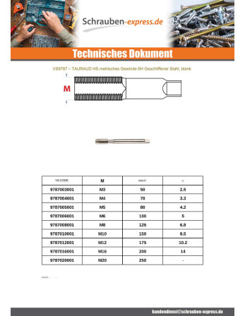 1 x HSS-Gewindebohrer M5 gewinde 80