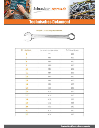 1 x Ring-Maulschlüssel 25 Für Schraube...