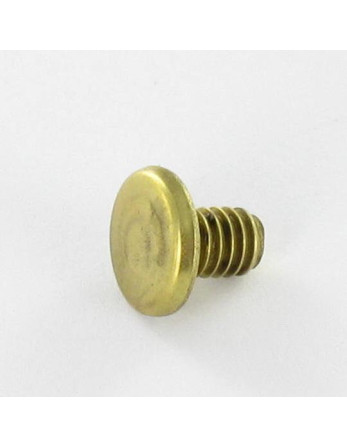 1 x Fensterladen Messing Flachkopf 4,3 x 6 T9...