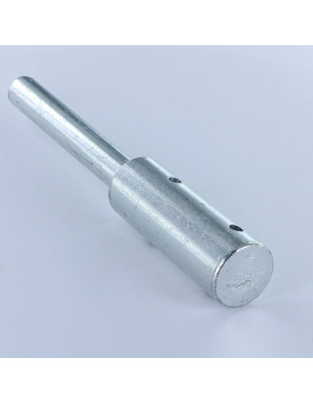 1 x Bolzen 20/12X140+2 Loch Verzinkt CR3 48 hbs...
