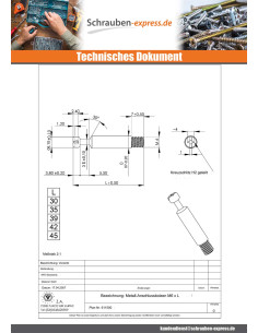 Dübel VERBINDUNG Metalle 6X35 Verzinkt 2