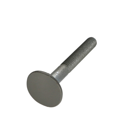 1 x Schraube Senkkopfschraube BREIT 4ERGOT10X80 RAL7023 30 % BRILLANT