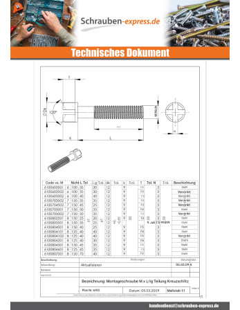 1 x V.ASSEMBLY/BETT Rohstahl M8X45 Kreuzschlitz