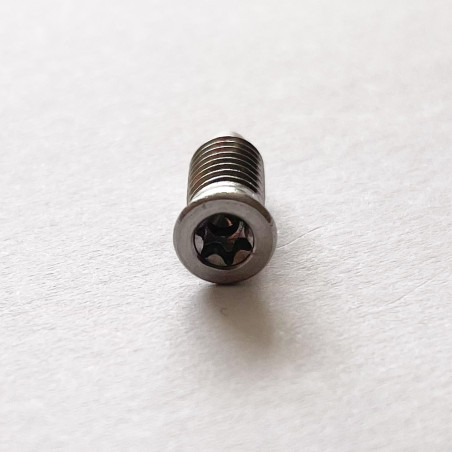 1 x Metallschrauben Senkkopfschraube T15 M5x13,5 Edelstahl A2